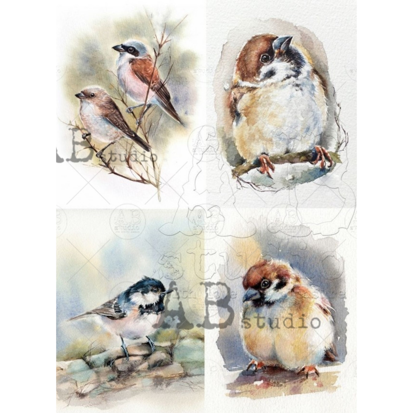 "4 Pack Watercolor Birds" decoupage rice paper by AB Studio. Size A4 available at Milton's Daughter.