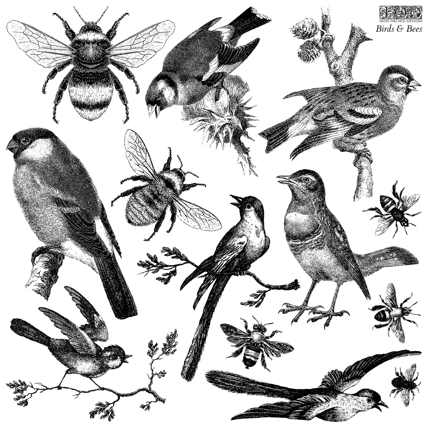 "Birds and Bees" IOD Stamp by Iron Orchid Designs. Available at Milton's Daughter.