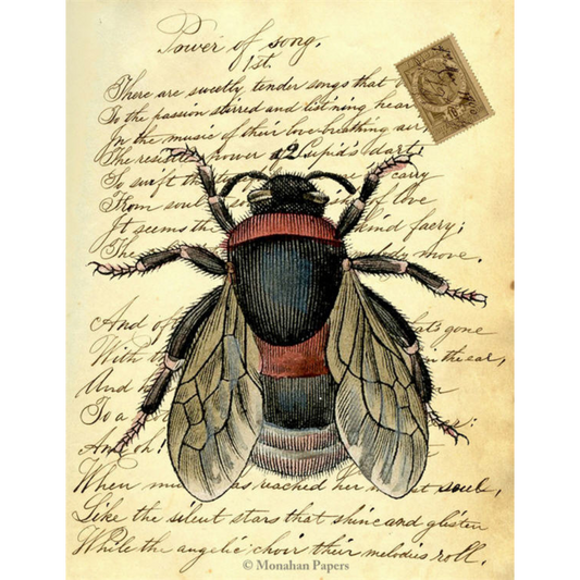 Bee - Aged Decoupage Paper 11 x 17 by Monahan Papers. Bee with red stripes on vintage letter available at Milton's Daughter.
