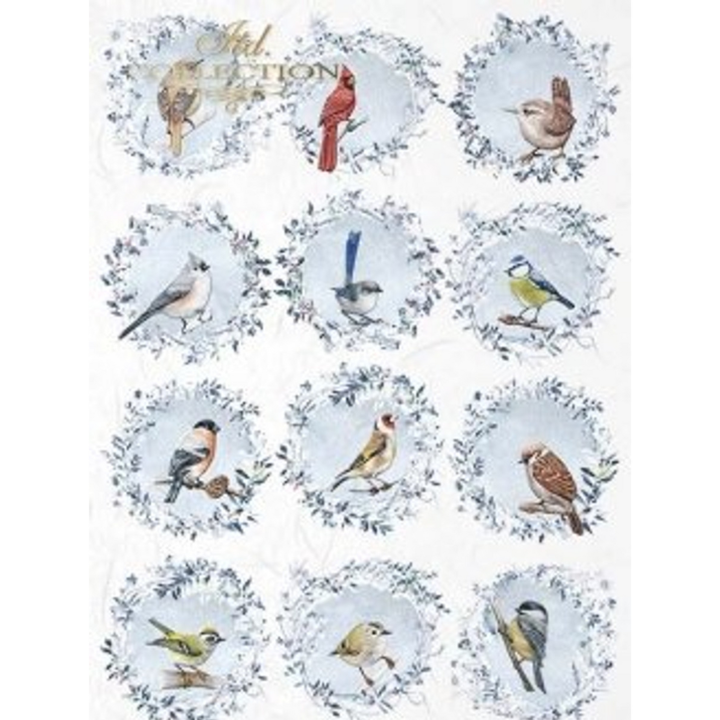 "Bird Portrait Confessionals" decoupage rice paper by ITD Collection. Size A4 available at Milton's Daughter.