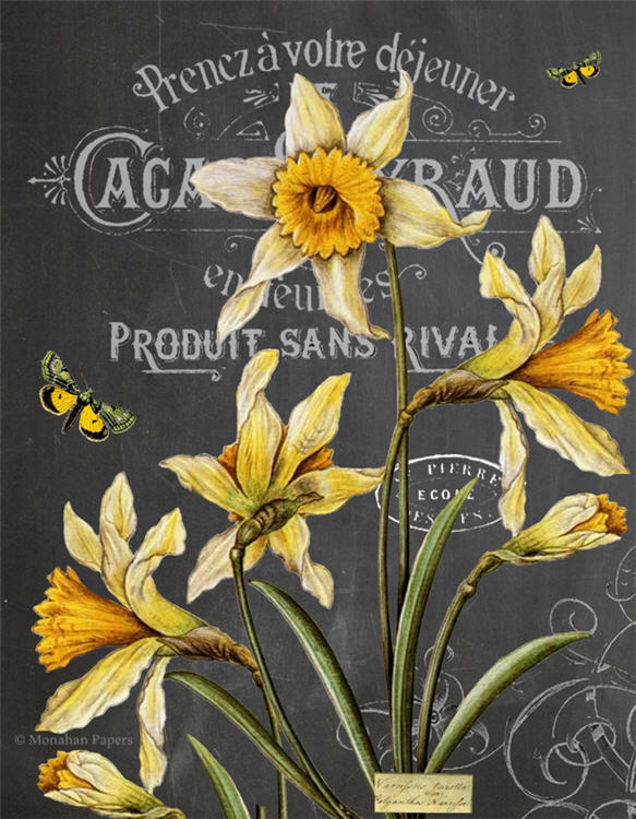 Monahan Papers "Botanical 200" 11"x 17". Yellow daffodils on chalkboard background. Aged paper for decoupage and mixed media use available at Milton's Daughter
