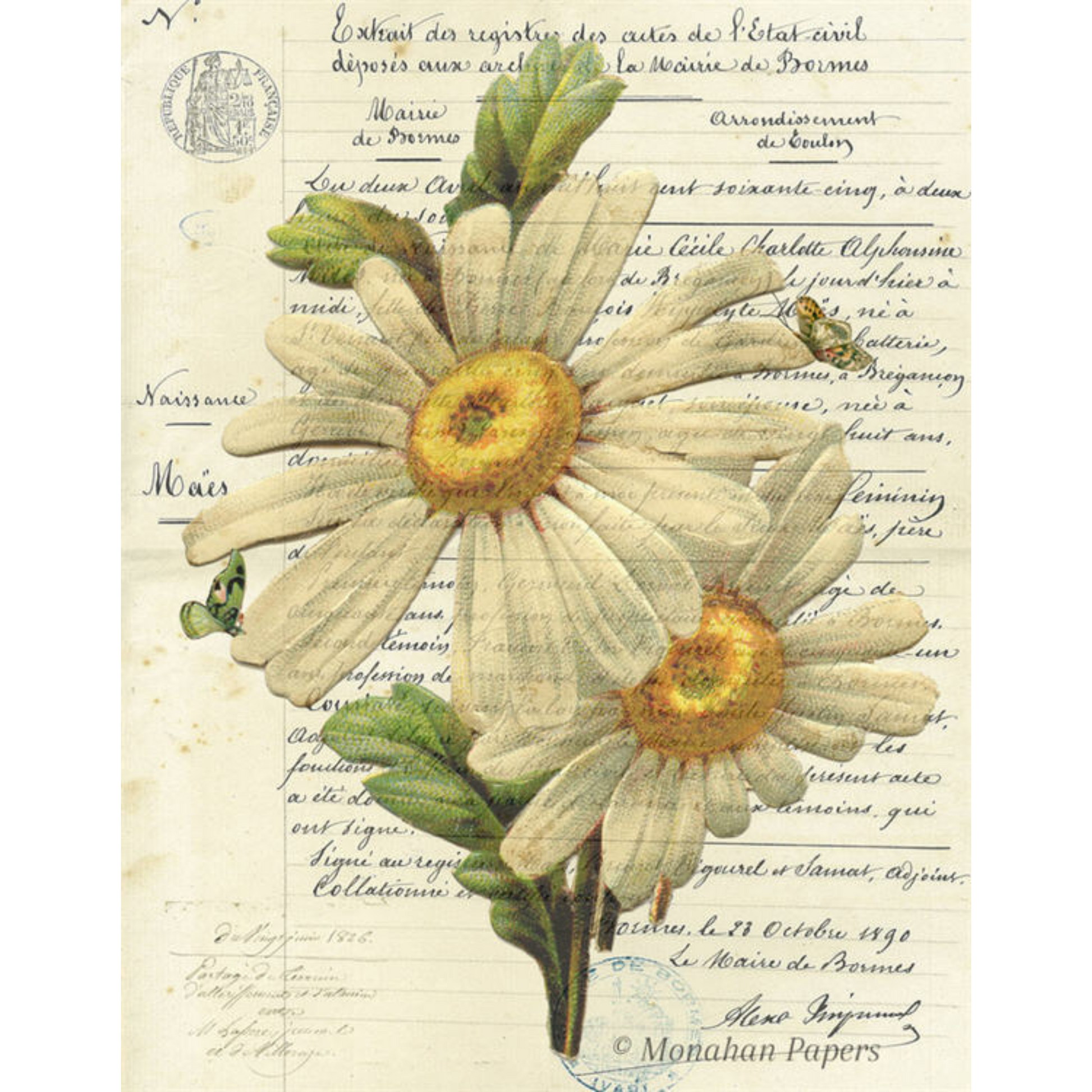 Botanical 55 - Decoupage Paper by Monahan Papers. 11" x 17" available at Milton's Daughter.
