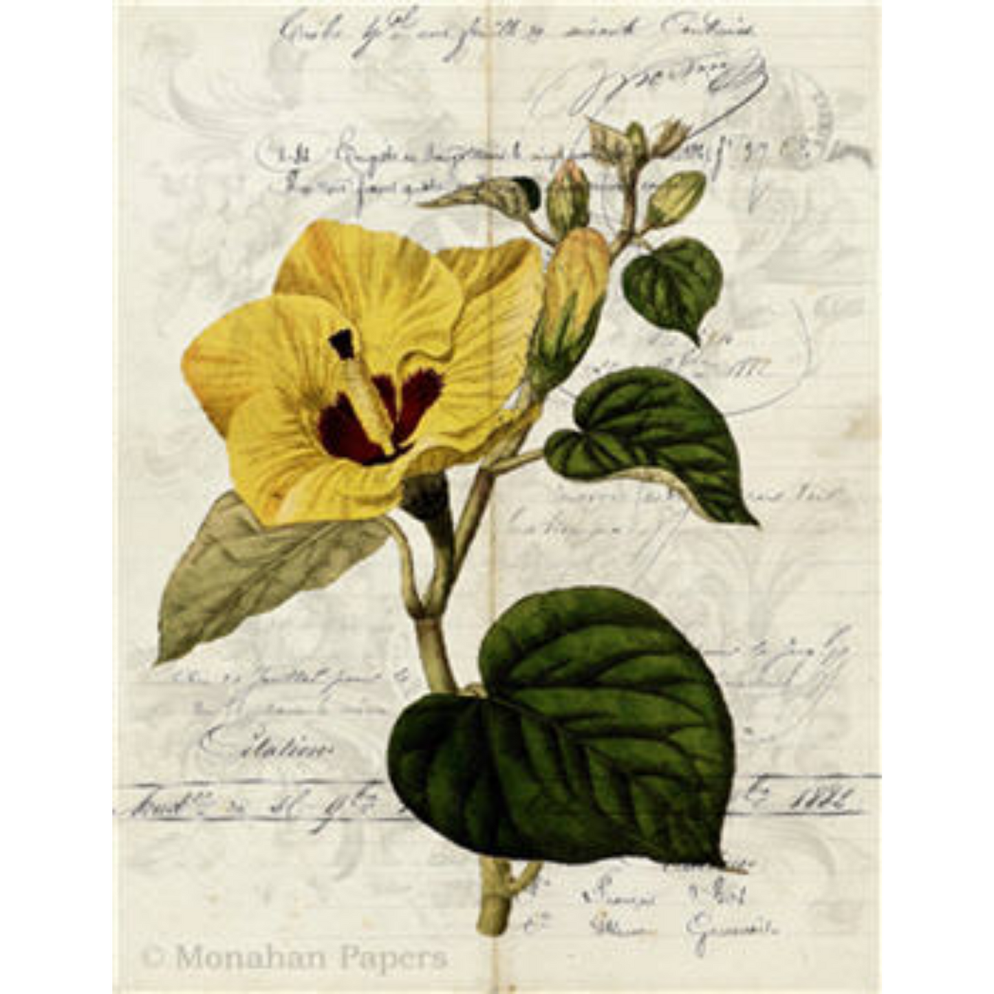 Monahan Papers "Botanical 86." 11" x 17" Decoupage Paper.  Yellow floral. Aged paper for decoupage and mixed media art available at Milton's Daughter