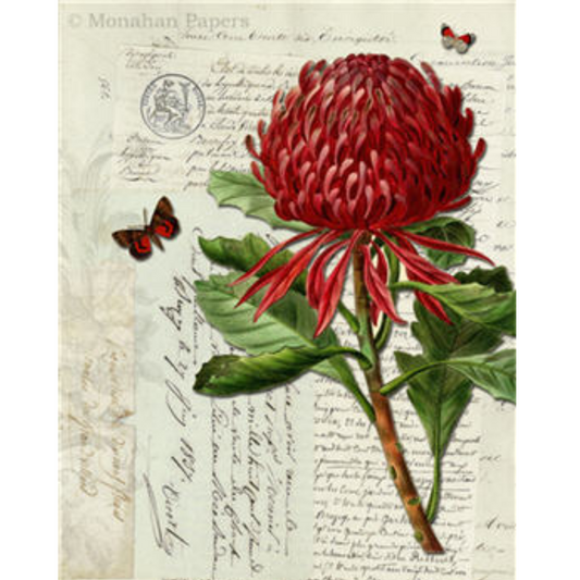 Monahan Papers "Botanical 91" 11" x 17." Red floral with butterflies on light background. Aged paper for decoupage and mixed media art available at Milton's Daughter