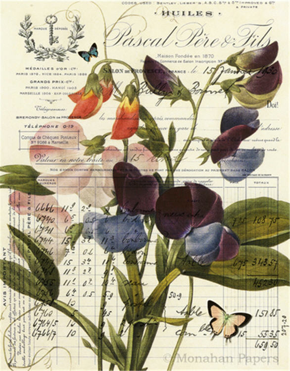 Monahan Papers "Botanical 92" 11" x 17"  blue, purple, orange flowers on light background plus butterfly. Aged paper for decoupage and mixed media art available at Milton's Daughter