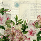 Monahan Papers "Botanical 93." 11" x 17" Pink and white flowers with leaves on light background. Aged paper for decoupage and mixed media art available at Milton's Daughter