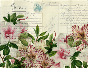 Monahan Papers "Botanical 93." 11" x 17" Pink and white flowers with leaves on light background. Aged paper for decoupage and mixed media art available at Milton's Daughter