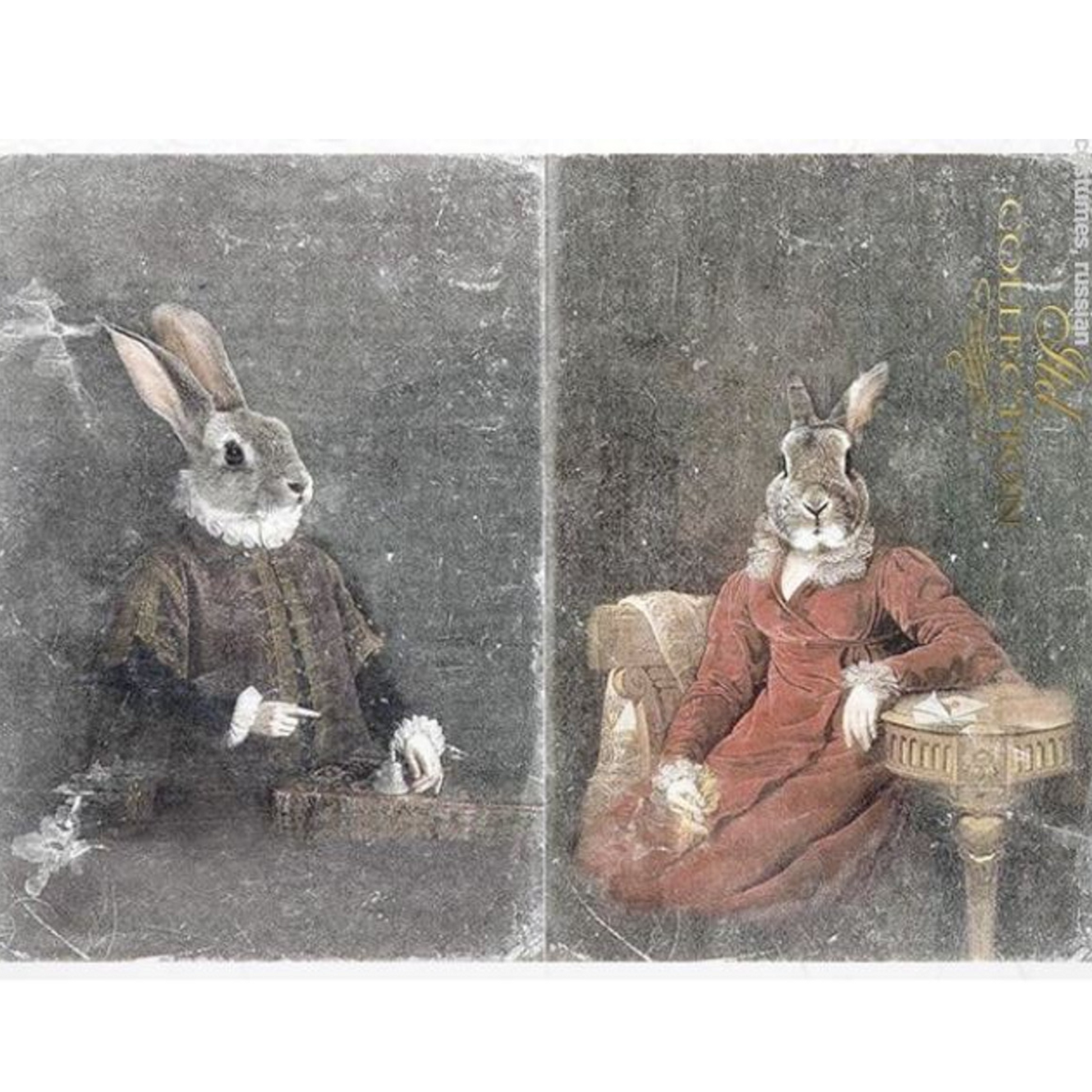 "Bunny Portaits II" decoupage rice paper by ITD Collection. Size A4 available at Milton's Daughter.