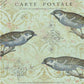 Monahan Papers "Carte Postale" 13" x 19"  Triple blue birds on pale green damask background. Aged paper for decoupage and mixed media art available at Milton's Daughter