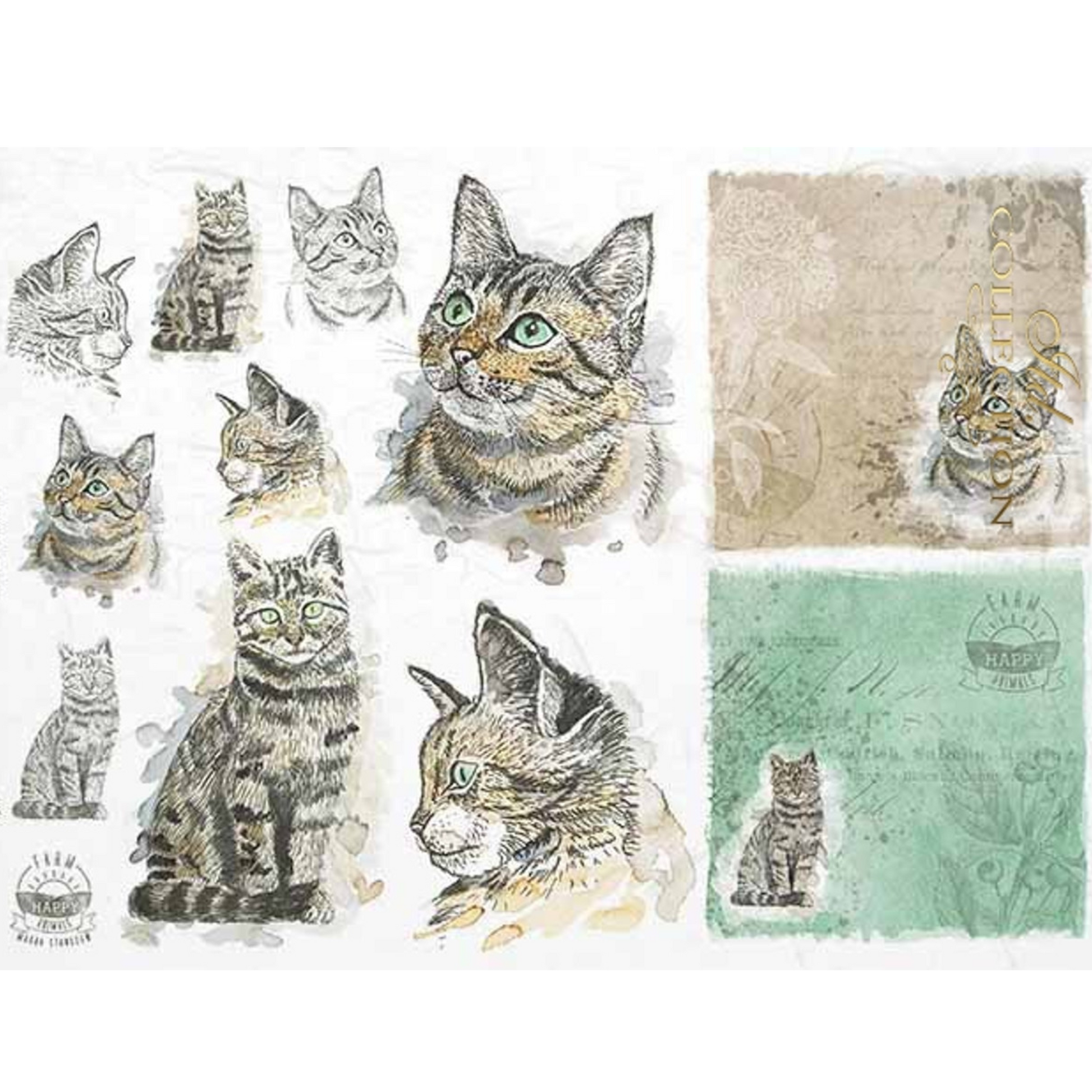 "Cat Portraits" decoupage rice paper by ITD Colleciton. Size A4 available at Milton's Daughter.
