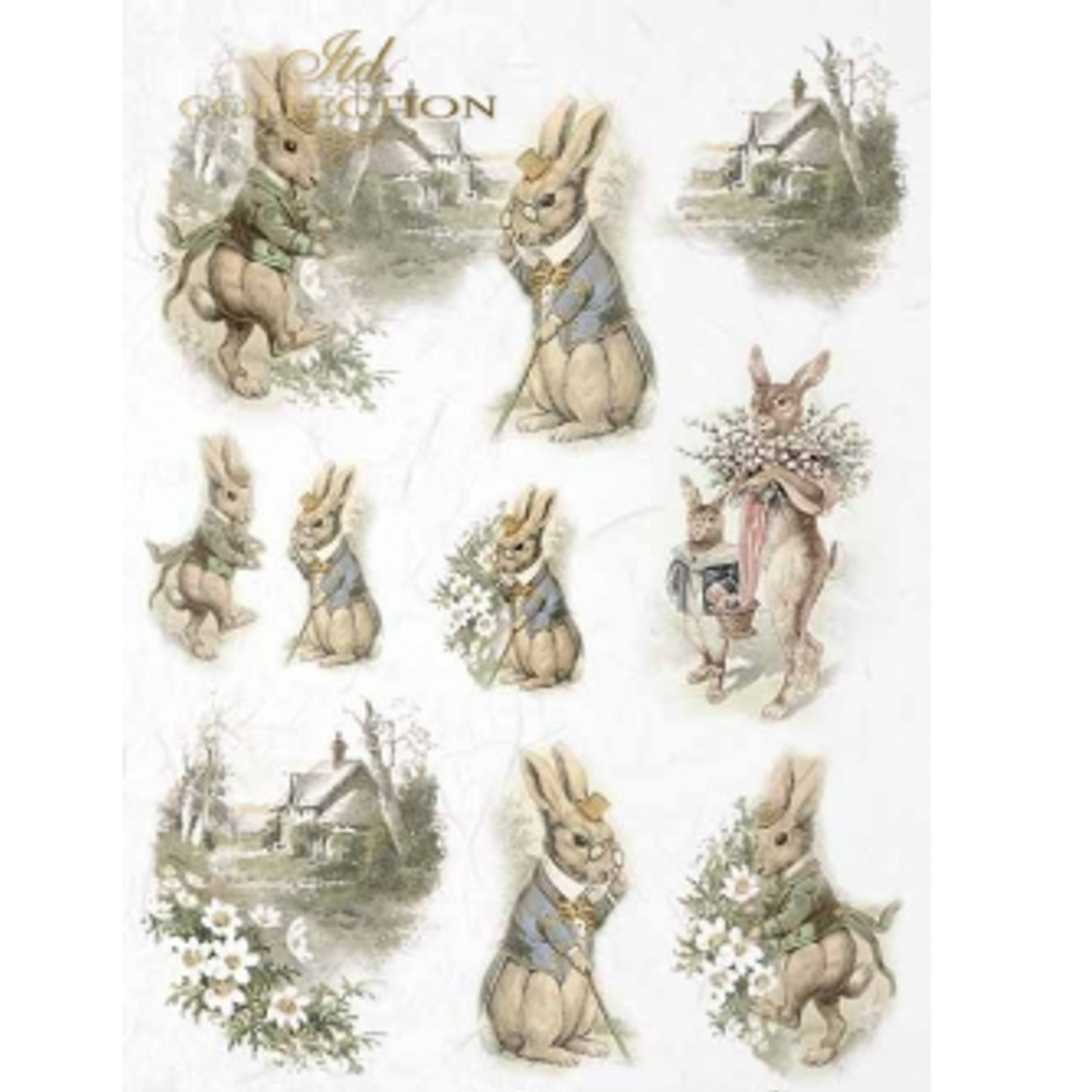 "Established Bunnies" decoupage rice paper by ITD Collection. Size A4 available at Milton's Daughter.