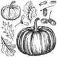 IOD Clear Silicone Stamp "Fruitful Harvest" by Iron Orchid Designs. sheet 2 of 2 includes pumpkins, chestnuts, and leaves stamps. Available at Milton's Daughter.