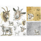 "Goat Portraits" decoupage rice paper by ITD Collection. Size A4 available at Milton's Daughter.