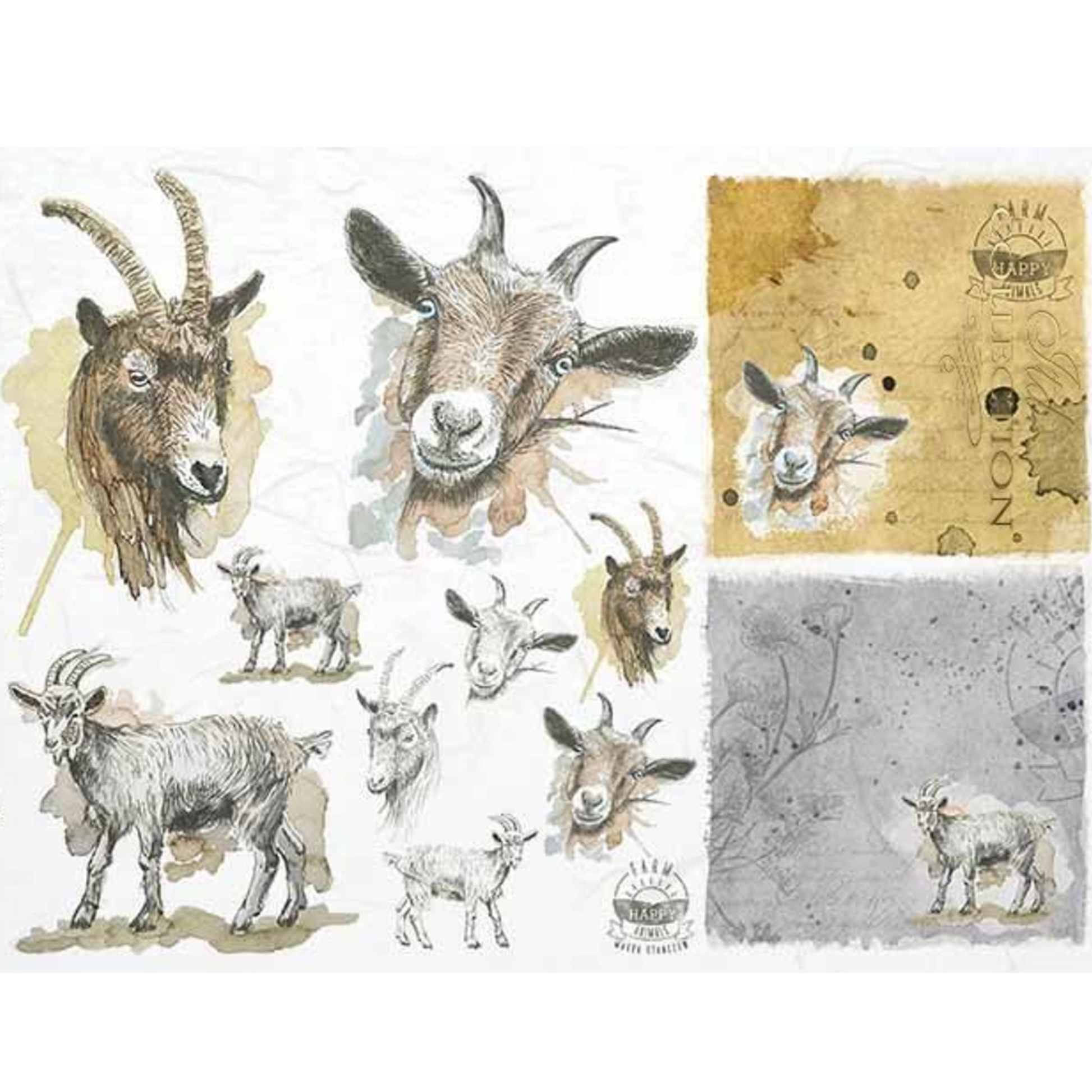 "Goat Portraits" decoupage rice paper by ITD Collection. Size A4 available at Milton's Daughter.