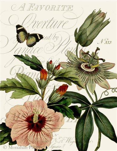 Monahan Papers "Hibiscus Flowers and Butterfly" 11" x 17" Pink Flower with greenery on white background. Aged paper for decoupage and mixed media art available at Milton's Daughter