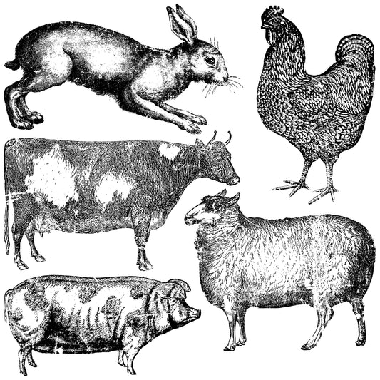 Five vintage designs, rabbit, rooster, cow, lamb, pig at Milton's Daughter