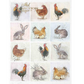 "Mini Rooster and Bunny Squares" decoupage rice paper by ITD Collection. Size A4 available at Milton's Daughter.