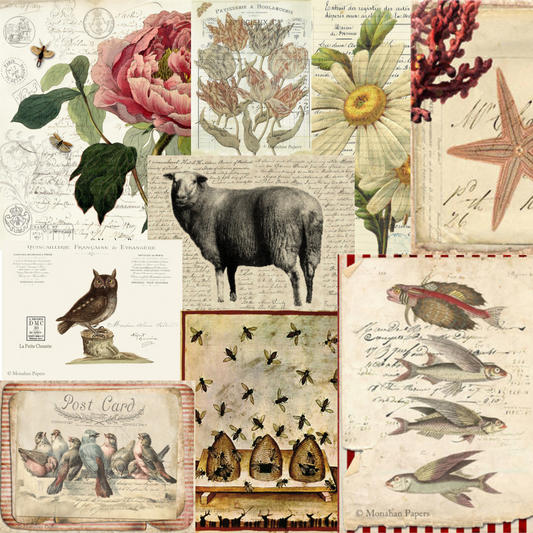 Collage of Various Monahan Papers for Decoupage.  11" x 17" available at Milton's Daughter in value packs of  10.
