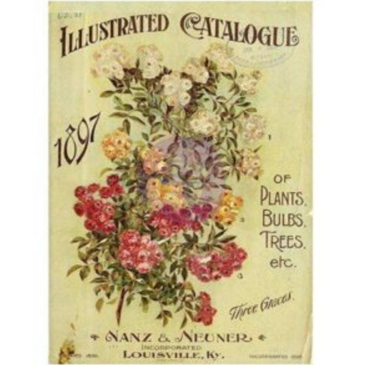 Nanz Neuner IOD Transfer, First Generation Product. Vintage signage with pink, lavender and  yellow flowers. Text reads, "Illustrated Catalogue, 1897 of Plants, Bulbs, Trees,etc." Nanz & Neuner, Louisville KY  at Milton's Daughter.