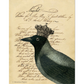 "Night Crow" decoupage paper by Monahan Papers available at Milton's Daughter