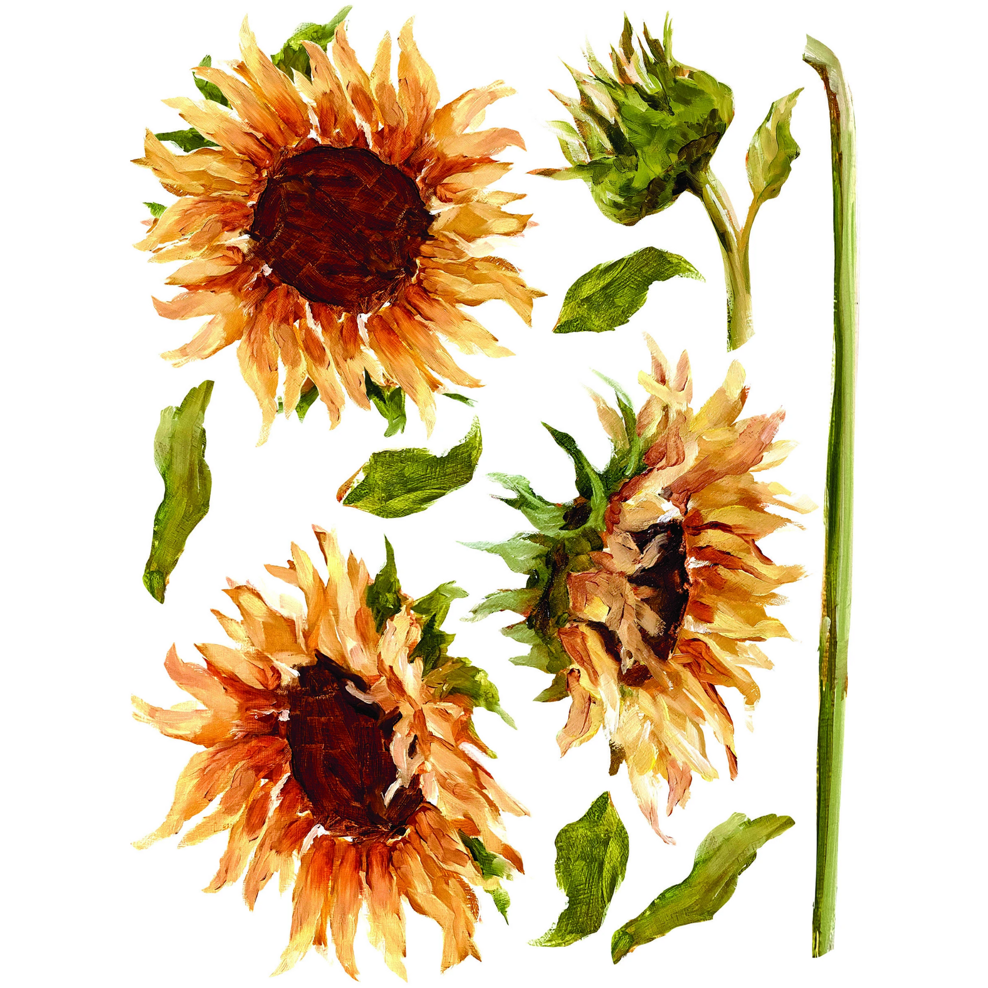 Painterly Florals IOD Transfer. Single sheet view of eight sheets with 3 sunflower blooms and stems at Milton's Daughter.