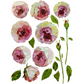 Painterly Florals IOD furniture transfer.  Single sheet view of eight pink peony blooms in various sizes and views with stems, buds and leaves at Milton's Daughter.
