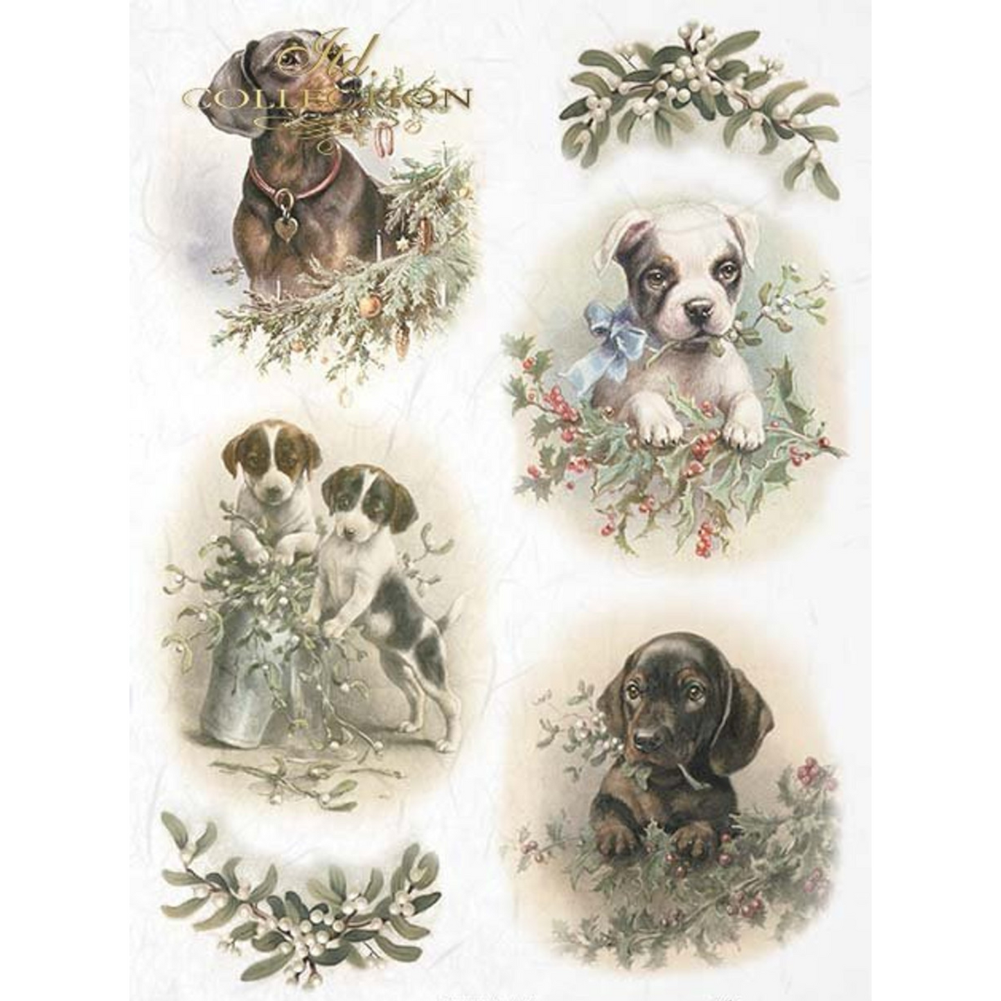 "Puppy Portraits" decoupage rice paper by ITD Collection. Size A4 available at Milton's Daughter.