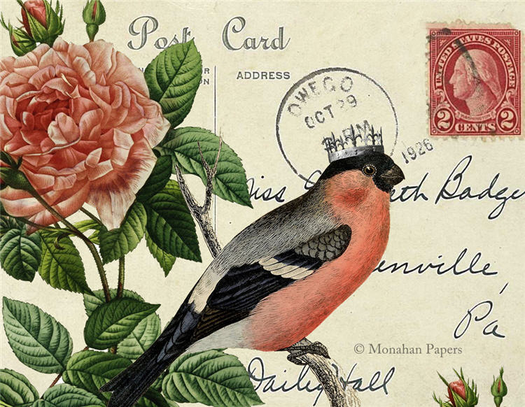 "Red Belly Bird" decoupage paper by Monahan Papers available at Milton's Daughtter