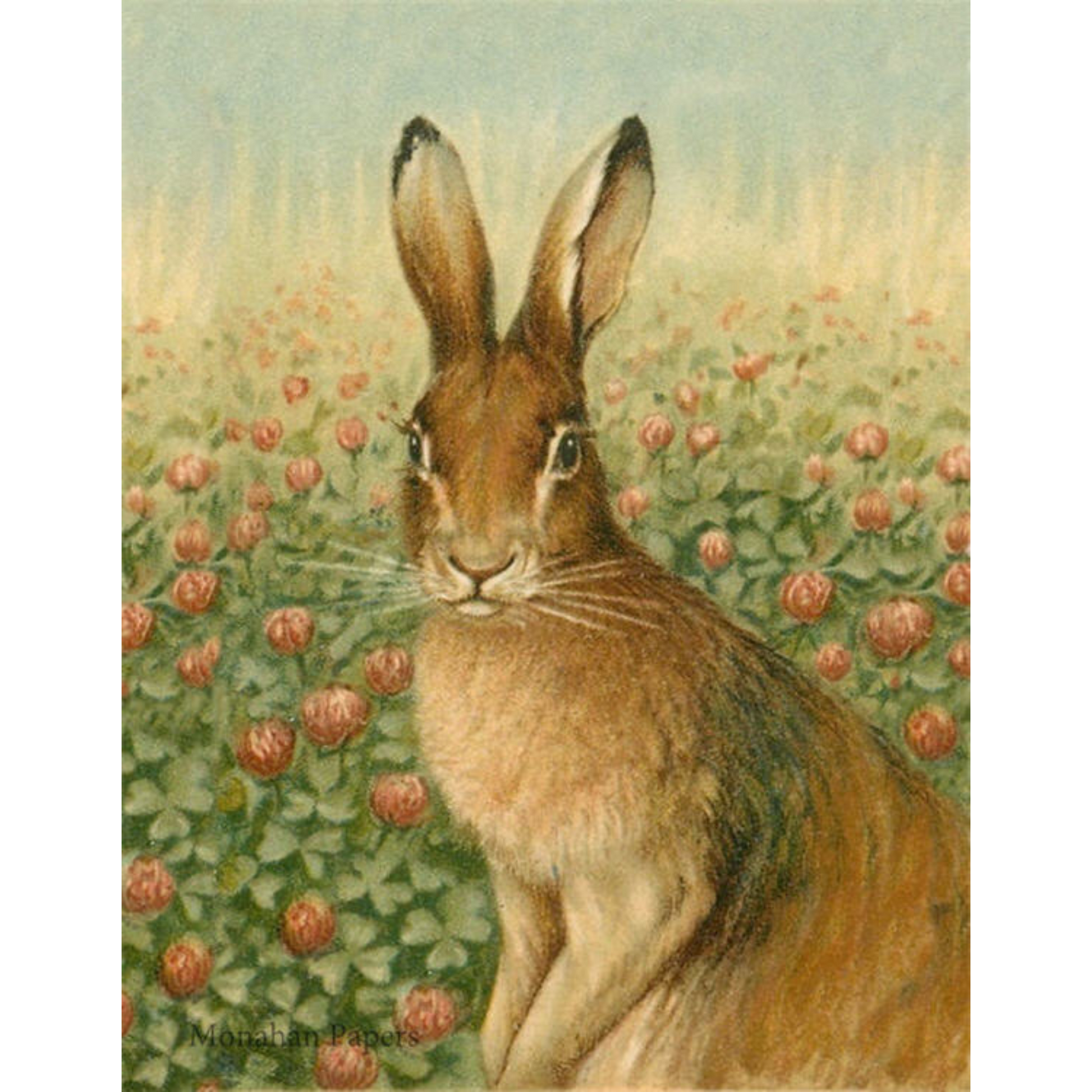 "Rose Hare" Decoupage Paper by Monahan Papers. Size 11" x 17" available at Milton's Daughter.
