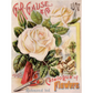 "GR Gause & Co. - 1897 White Rose Catalogue" TT111 - decoupage rice paper by Calambour. Size A4 available at Milton's Daughter.