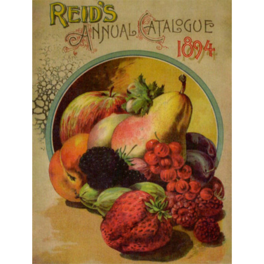 "Reid's Annual Catalogue 1894" TT54 decoupage rice paper by Calamabour. Size A4 available at Milton's Daughter.