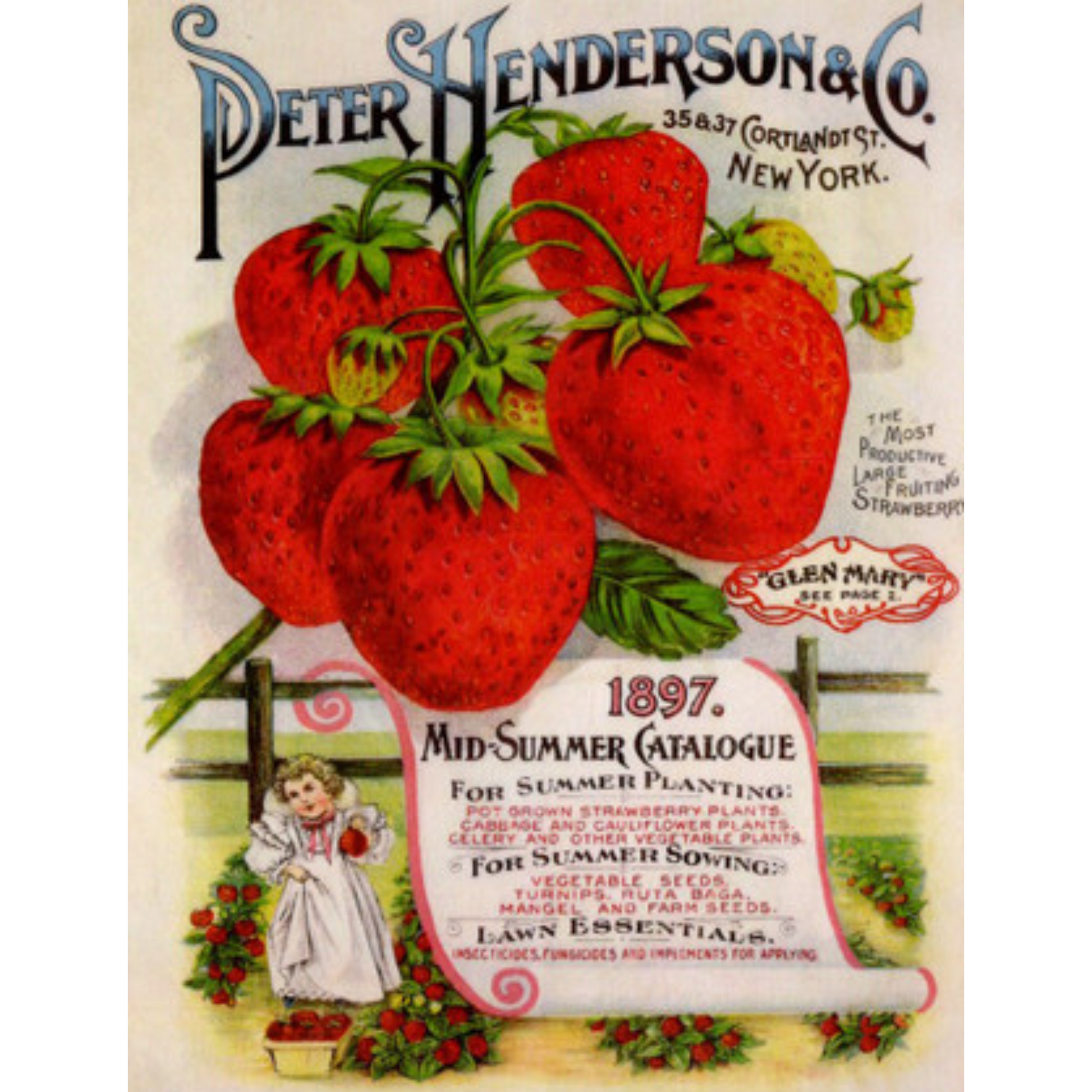 "Peter Henderson Strawberries Mid-Summer Catalogue 1897"  TT62 -  reproduction print on decoupage rice paper by Calambour. Size A4 available at Milton's Daughter.