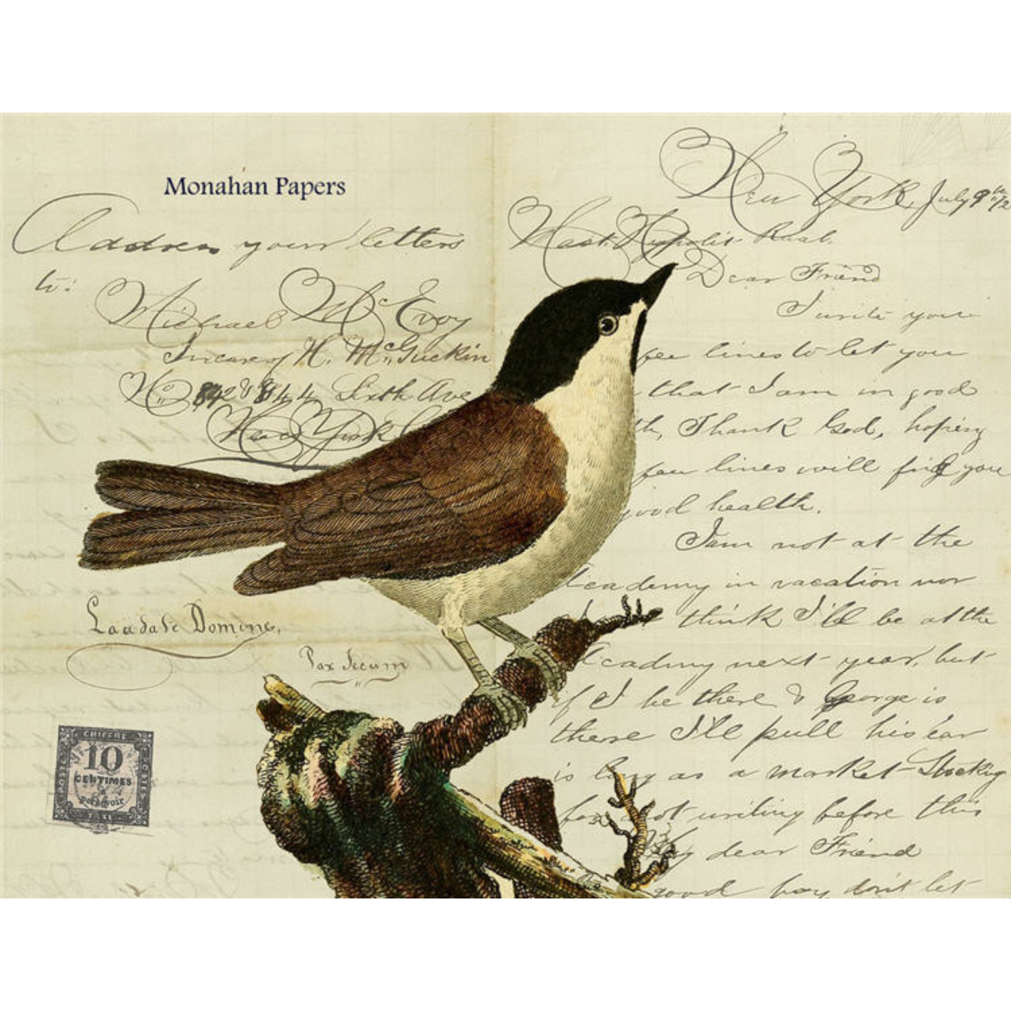 "White Breasted Master Hippolis" decoupage paper by Monahan Papers available at Milton's Daughter