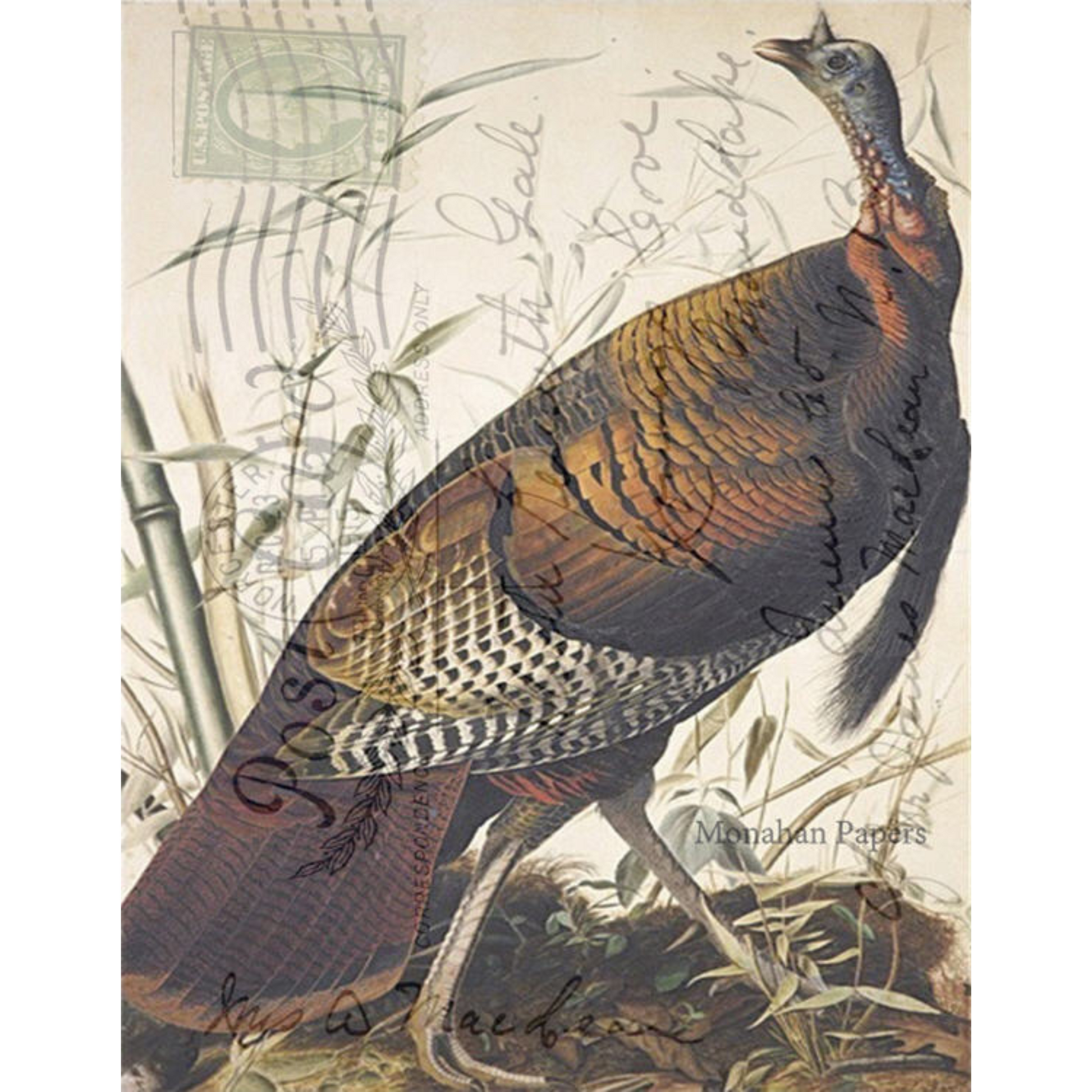 "Wild Turkey" Decoupage paper by Monahan Papers available at Milton's Daughter.