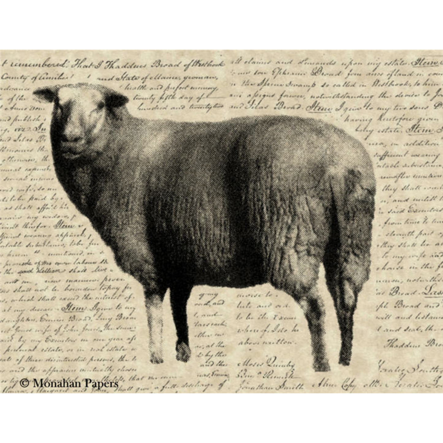 "Wilma Sheep" Decoupage Paper by Monahan Papers. Size 11" x 17" available at Milton's Daughter.