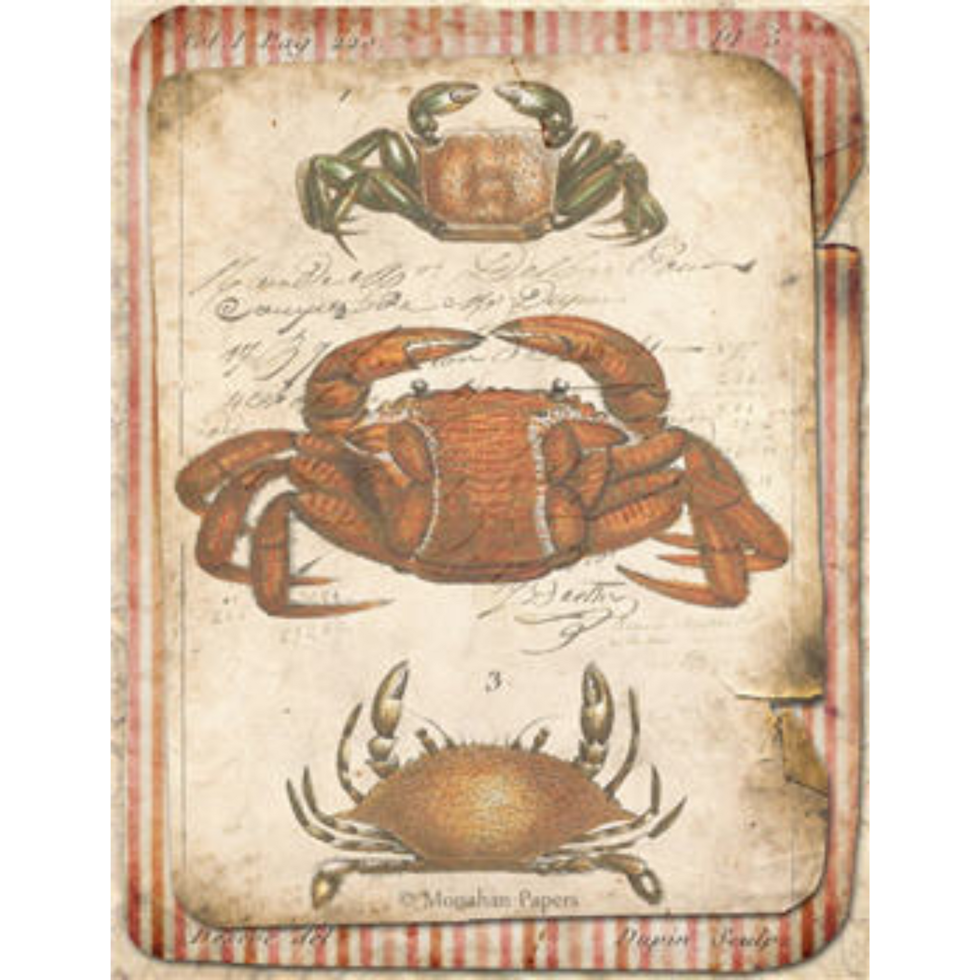 Red Crab Trio - X274- Decoupage Paper by Monahan Papers. 11" x 17" available at Milton's Daughter