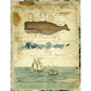 Newport Whale X280-Decoupage Paper by Monahan Papers. 11" x 17" available at Milton's Daughter