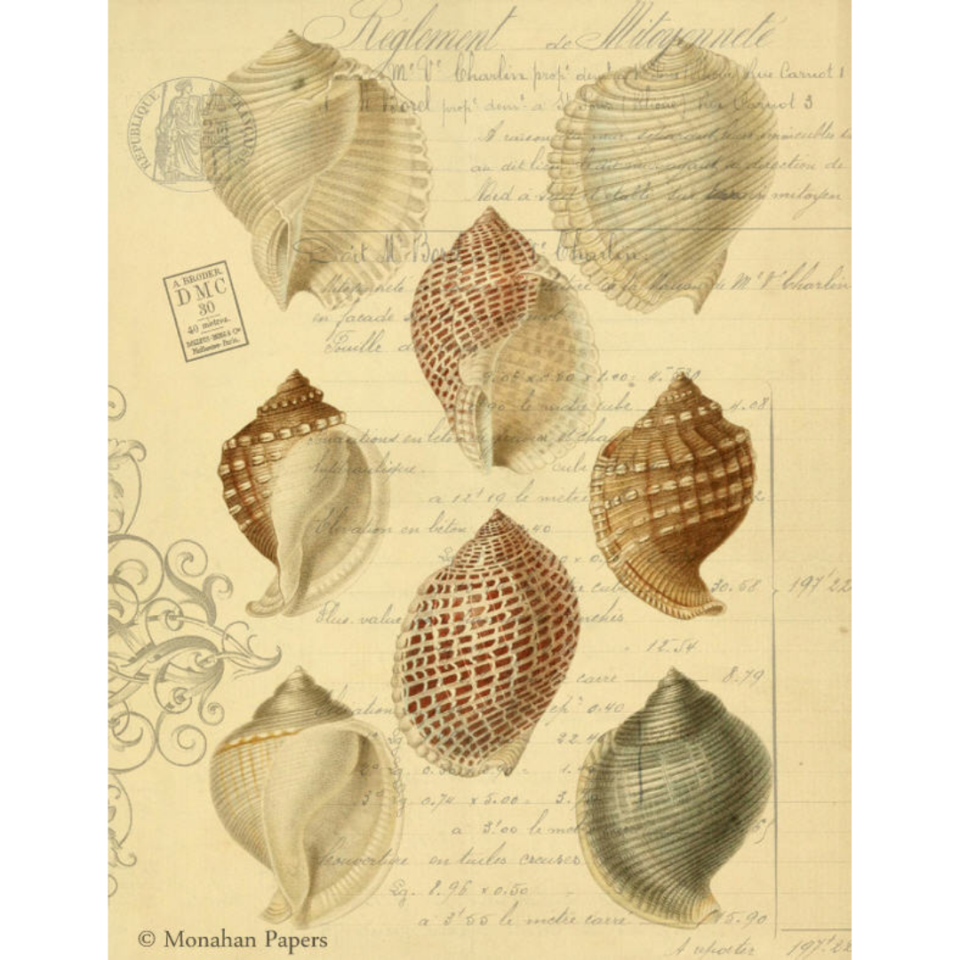 Monahan Papers "Seashells" 11" x 17" Seashell coastal motif in beige and brown. Aged paper for decoupage and mixed media art available at Milton's Daughter