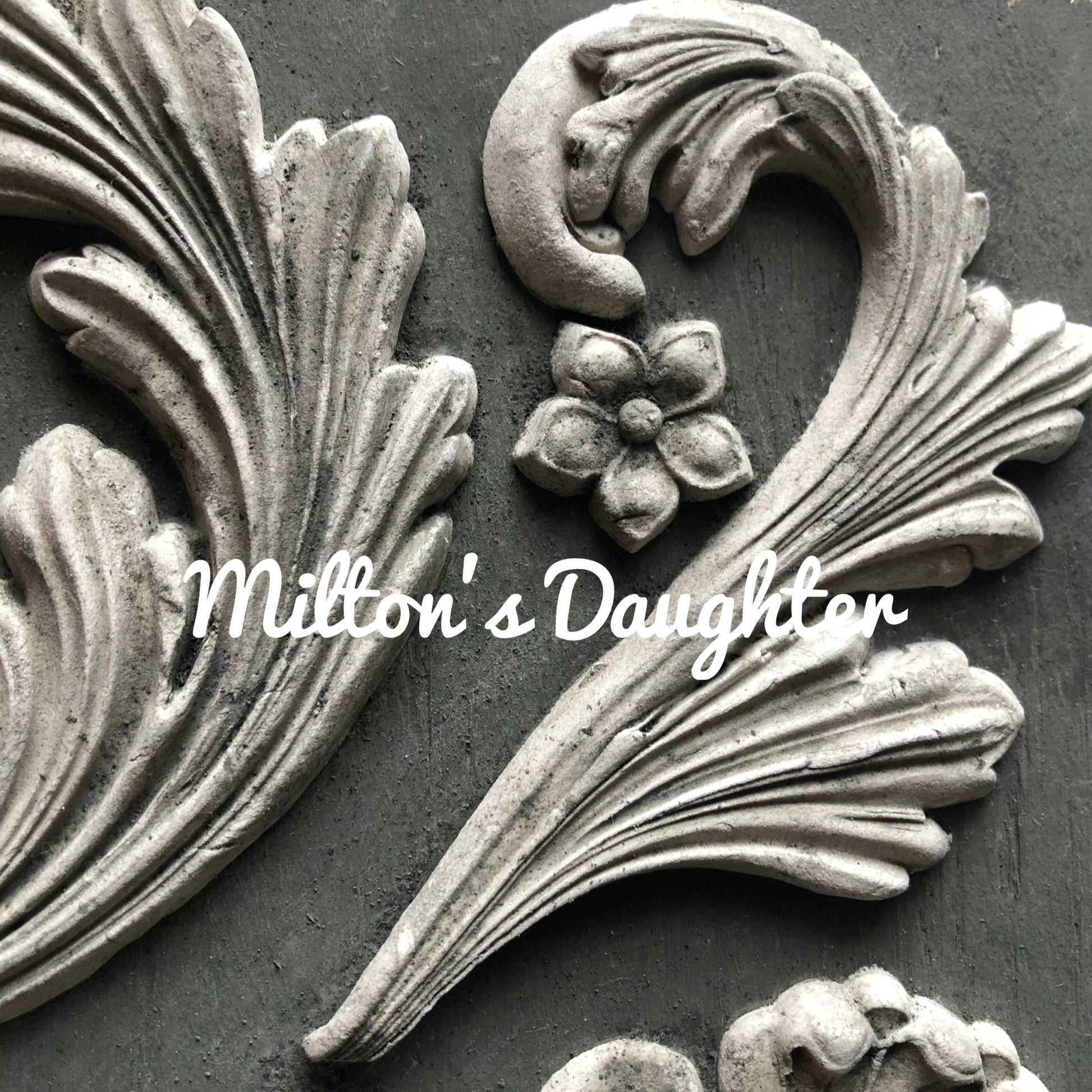 IOD Acanthus scroll mold casting acanthus leaf closeup greyscale at Milton's Daughter