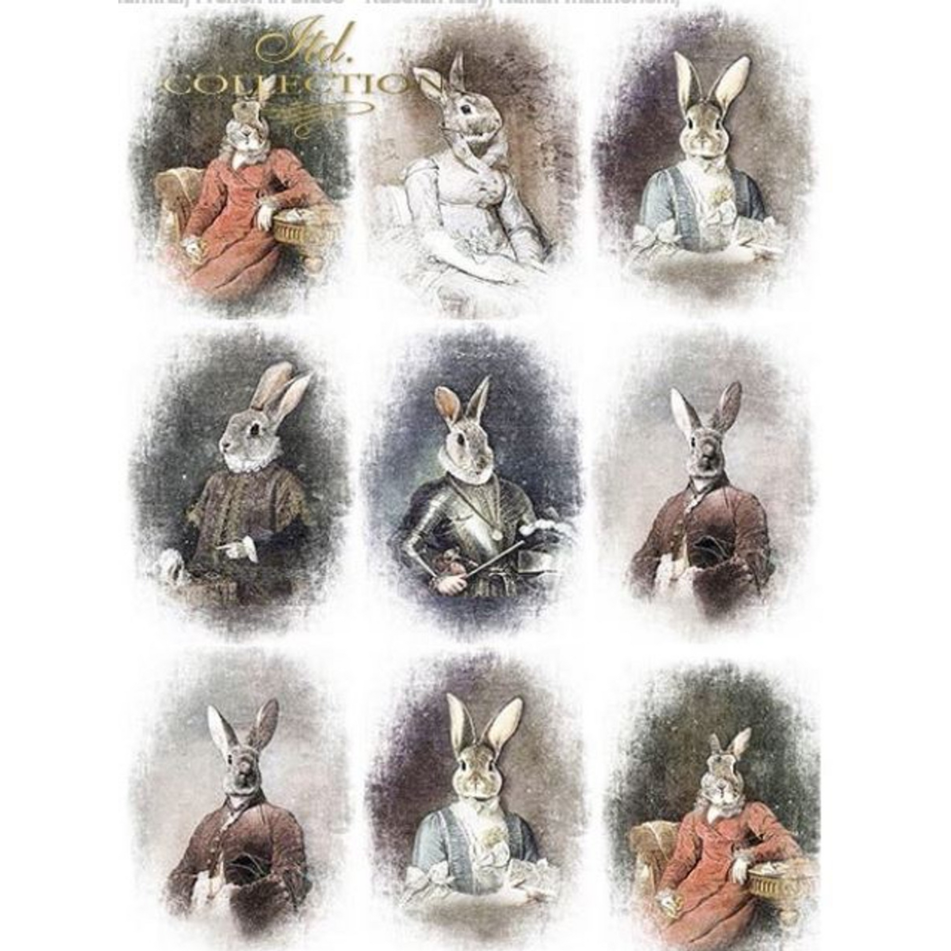 "Bunny Portraits III" decoupage rice paper by ITD Collection. Size A4 available at Milton's Daughter.