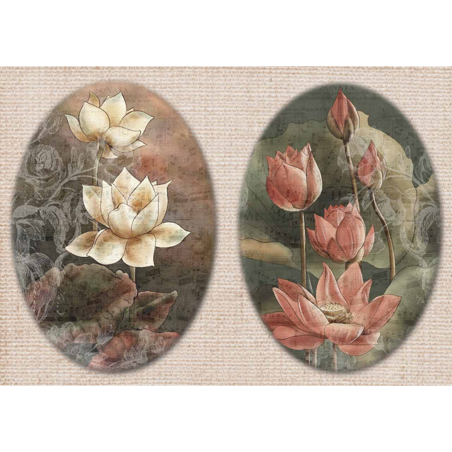 Dainty and the Queen-Lotus-Decoupage Rice Paper by Decoupage Queen. Size A4-8.3" x 11.7" is available at Milton's Daughter.
