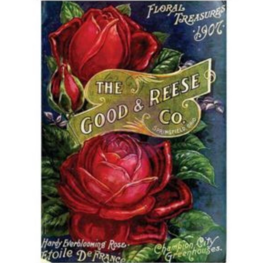  Red roses on dark background.  Vintage style gold label across the middle reads "The Good & Reese Co."  Additional wording includes "hardy everblooming rose, Etolie De France, Chambion City Greenhouses, Floral Treasures 1907."  Measures 24"x34" at Milton's Daughter