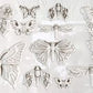 Monarch Mold by Iron Orchid Designs - sample butterfly castings on white background at Milton's Daughter