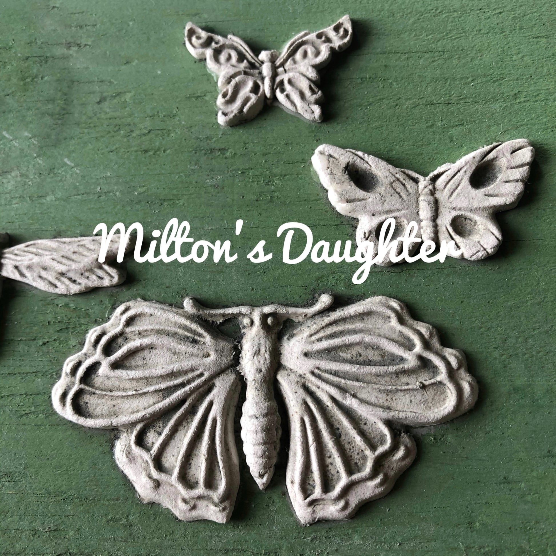 Monarch Mold by IOD.  Butterfly castings sample close up at Milton's Daughter