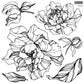 Stamp with peonies and leaves in various sizes, open design for painting and filling in at Milton's Daughter.