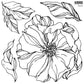 Stamp of large peony bloom with leaves at Milton's Daughter.