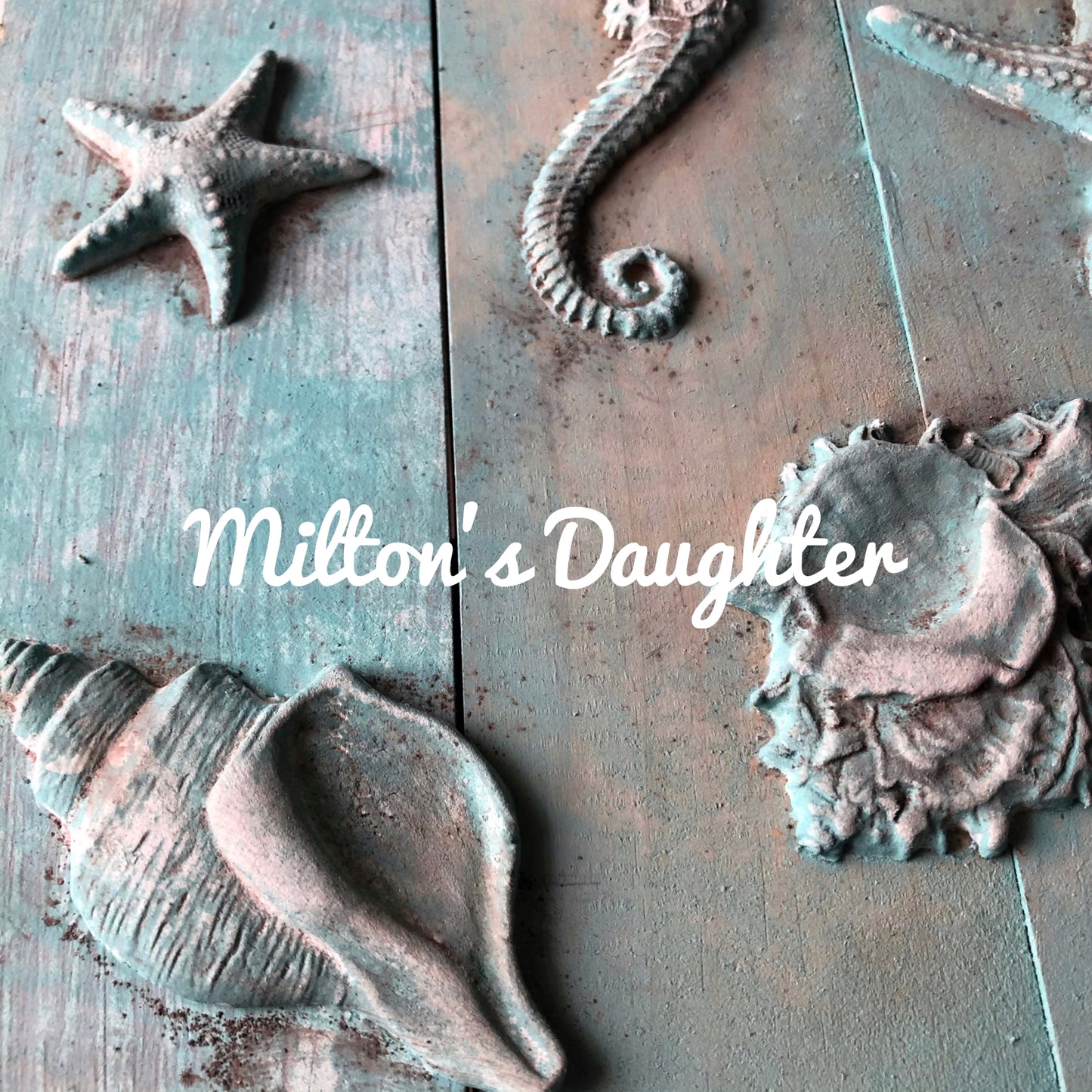 IOD Seashells Mold castings on wood, includes scallop, starfish, conch shell, oyster shell, sea horses at Milton's Daughter